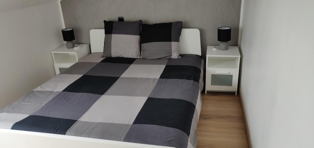 Le Business, Duplex Moderne Special Pro De Passage Sarreguemines Exterior foto
