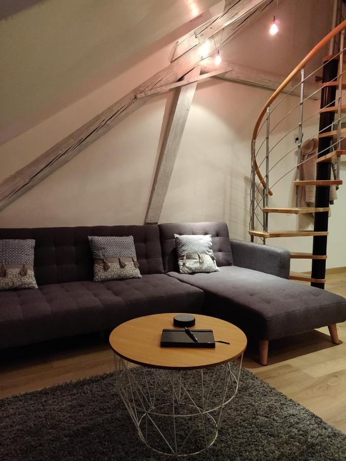 Le Business, Duplex Moderne Special Pro De Passage Sarreguemines Exterior foto
