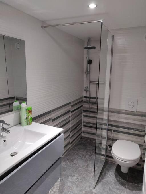 Le Business, Duplex Moderne Special Pro De Passage Sarreguemines Exterior foto