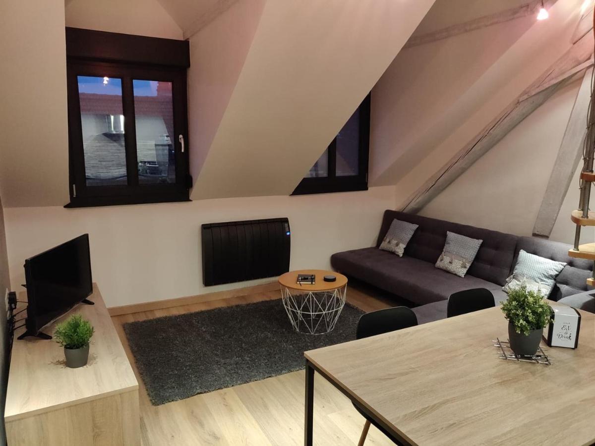 Le Business, Duplex Moderne Special Pro De Passage Sarreguemines Exterior foto